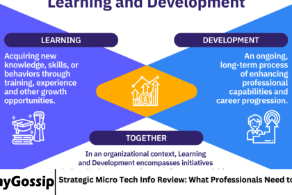 Strategic Micro Tech Info Review: What Professionals Need to Know